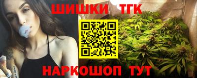 дживик Кингисепп