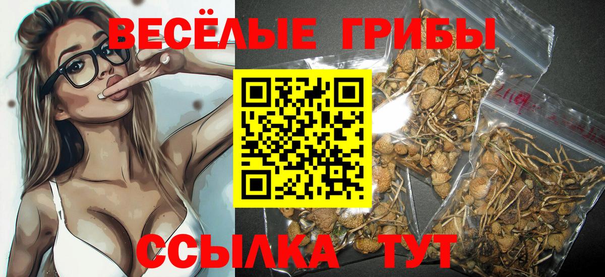 Краснокаменск  Псилоцибиновые грибы мухоморы  Вход с VPN 